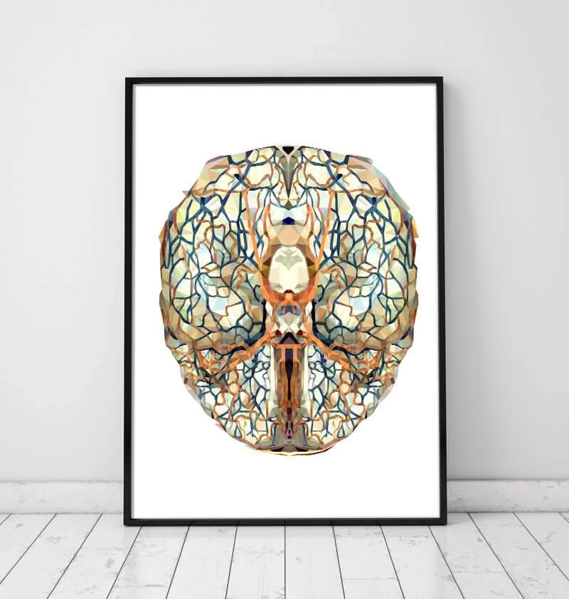 Geometrical Brain Anatomy I 4 Geometrical Brain Anatomy I - Image 2