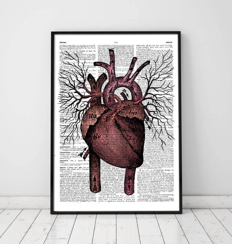 Heart Anatomy - Dictionary Page 4 Heart Anatomy - Dictionary Page - Image 2