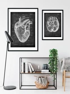 Heart Anatomy I - Chalkboard -Codex Anatomicus Shop LPA 201 4