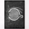 Eye Anatomy - Chalkboard 1 Eye Anatomy - Chalkboard -Codex Anatomicus Shop LPA 202