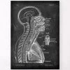 Brain And Spinal Cord - Chalkboard -Codex Anatomicus Shop LPA 204