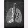 Lungs Anatomy - Chalkboard -Codex Anatomicus Shop LPA 207