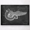 Pancreas Anatomy - Chalkboard
