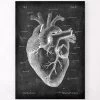 Heart Anatomy II - Chalkboard 2 Heart Anatomy II - Chalkboard -Codex Anatomicus Shop LPA 213