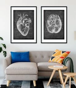 Heart Anatomy II - Chalkboard 8 Heart Anatomy II - Chalkboard -Codex Anatomicus Shop LPA 213 4