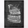 Teeth And Jaws Anatomy - Chalkboard 1 Teeth And Jaws Anatomy - Chalkboard -Codex Anatomicus Shop LPA 216