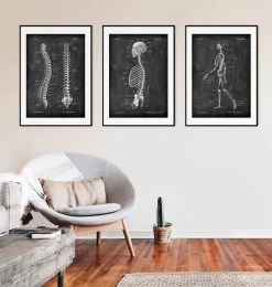 Skeleton Sagittal View - Chalkboard 8 Skeleton Sagittal View - Chalkboard -Codex Anatomicus Shop LPA 237 4