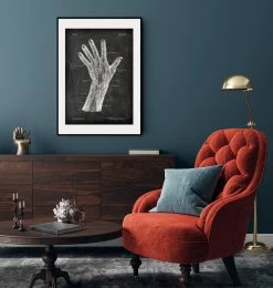 Blood Vessels Of Hand - Chalkboard -Codex Anatomicus Shop LPA 241 3