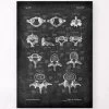 Types Of Vertebrae - Chalkboard -Codex Anatomicus Shop LPA 249 0cd582dc 935b 4261 875c efd0d730ed4b