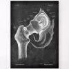 Hip Joint Anatomy - Chalkboard 1 Hip Joint Anatomy - Chalkboard -Codex Anatomicus Shop LPA 251