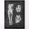 Knee Joint And Leg Muscles - Chalkboard -Codex Anatomicus Shop LPA 253