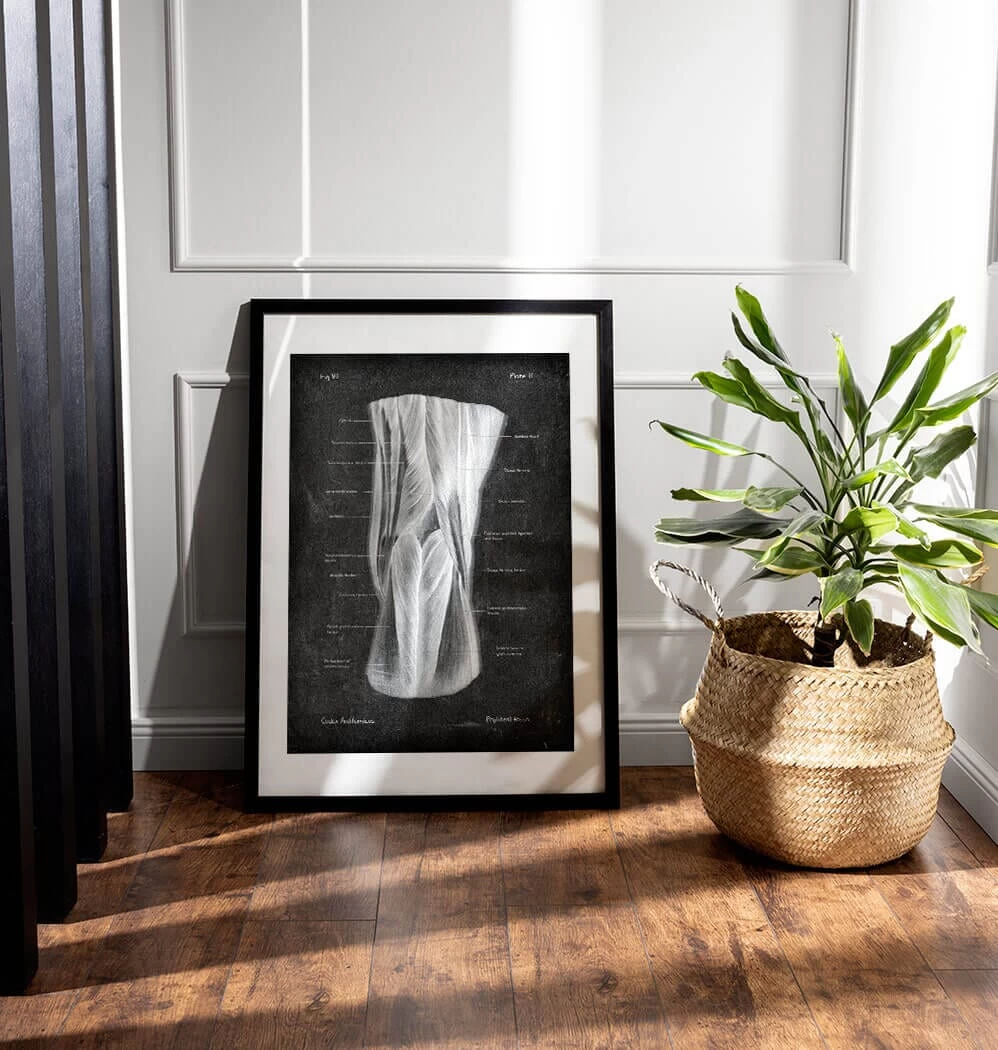Popliteal Fossa - Chalkboard 4 Popliteal Fossa - Chalkboard - Image 2