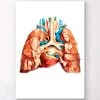 Heart And Lungs Anatomy -Codex Anatomicus Shop LPA005 0fd68b54 a654 44c9 888e a224cbac2bb2