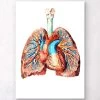 Heart And Lungs Anatomy II 1 Heart And Lungs Anatomy II -Codex Anatomicus Shop LPA006 3e1eb320 d6b9 465b 8c26 959ddd9eea99