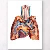 Heart And Lungs Anatomy III -Codex Anatomicus Shop LPA007
