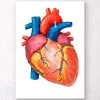 Geometrical Heart Anatomy II -Codex Anatomicus Shop LPA009 234348a4 f2e7 45f1 bbe8 f73bd16a0183
