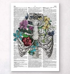 Rib Cage With Flowers - Dictionary Page
