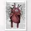 Heart Anatomy - Dictionary Page