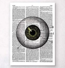 Eye Anatomy - Dictionary Page