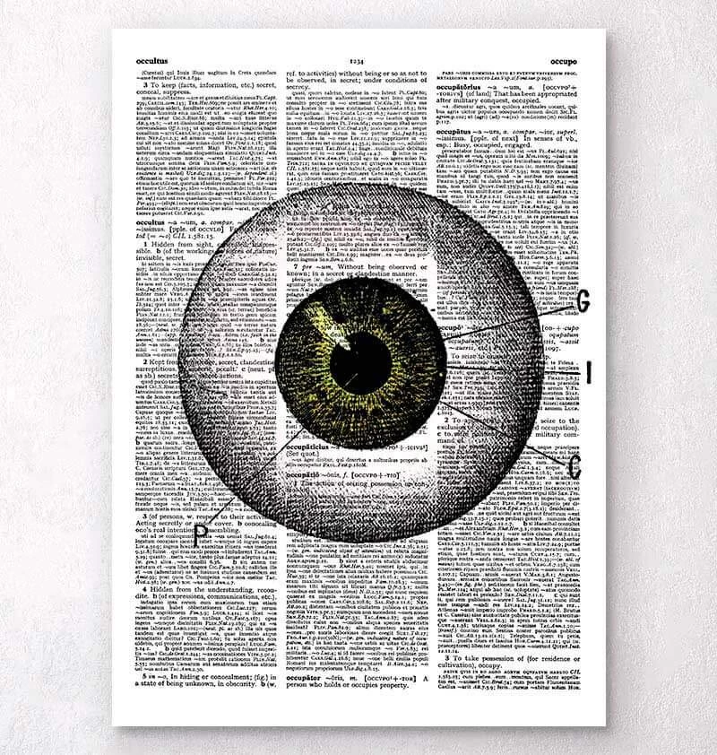 Eye Anatomy - Dictionary Page 3 Eye Anatomy - Dictionary Page