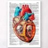 Geometric Heart - Dictionary Page 2 Geometric Heart - Dictionary Page -Codex Anatomicus Shop LPA029 16818003 fc9a 45fa 83d5 b3e3f799763f