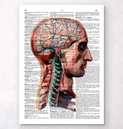 Geometric Head And Brain - Dictionary Page