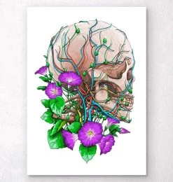 Skull With Flowers
