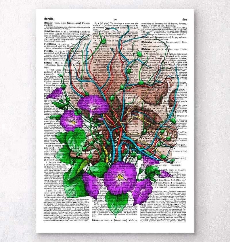 Skull With Flowers - Dictionary Page 3 Skull With Flowers - Dictionary Page