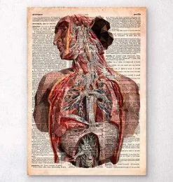 Geometric Human Anatomy - Old Dictionary Page