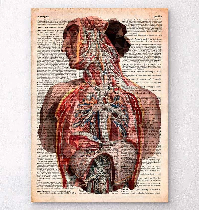Geometric Human Anatomy - Old Dictionary Page 3 Geometric Human Anatomy - Old Dictionary Page