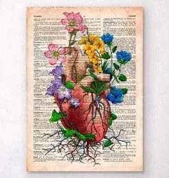Floral Heart Anatomy - Old Dictionary Page