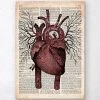 Heart Anatomy II - Old Dictionary Page -Codex Anatomicus Shop LPA038 08e89aaf d142 4c8e a82e 38097f2f8e74