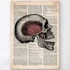 Skull Art Print - Old Dictionary Page -Codex Anatomicus Shop LPA039 26dce67f 68b7 41d2 a2e4 baea6e43088f