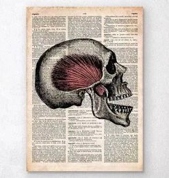 Skull Art Print - Old Dictionary Page