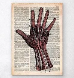 Hand Anatomy - Old Dictionary Page