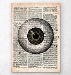 Eye Anatomy - Old Dictionary Page
