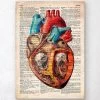 Geometric Heart Anatomy - Old Dictionary Page 2 Geometric Heart Anatomy - Old Dictionary Page -Codex Anatomicus Shop LPA043 799edde5 8afc 40b4 9b31 8a71952d3a03