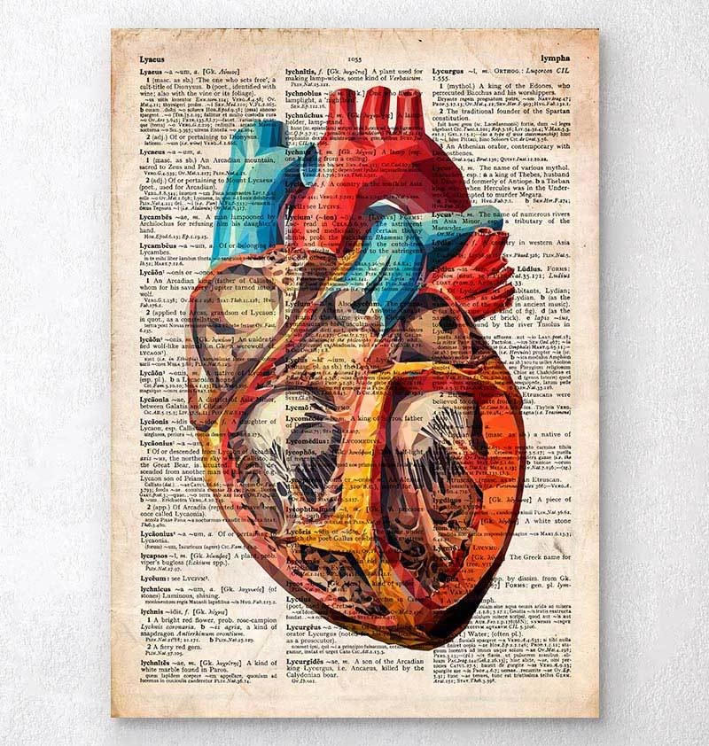 Geometric Heart Anatomy - Old Dictionary Page 3 Geometric Heart Anatomy - Old Dictionary Page