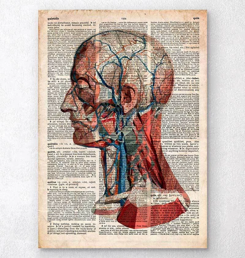 Geometric Head Anatomy - Old Dictionary Page 3 Geometric Head Anatomy - Old Dictionary Page