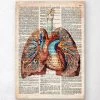 Geometric Heart And Lungs - Old Dictionary Page -Codex Anatomicus Shop LPA051 fdebdb6a 90ce 4e4f 8da6 d8588264a4b1