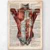 Human Torso Anatomy - Old Dictionary Page -Codex Anatomicus Shop LPA052 dd4820ba fb69 4345 814b 066dd1a828e9