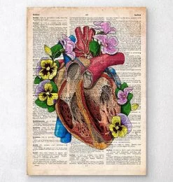 Floral Heart Anatomy II - Old Dictionary Page