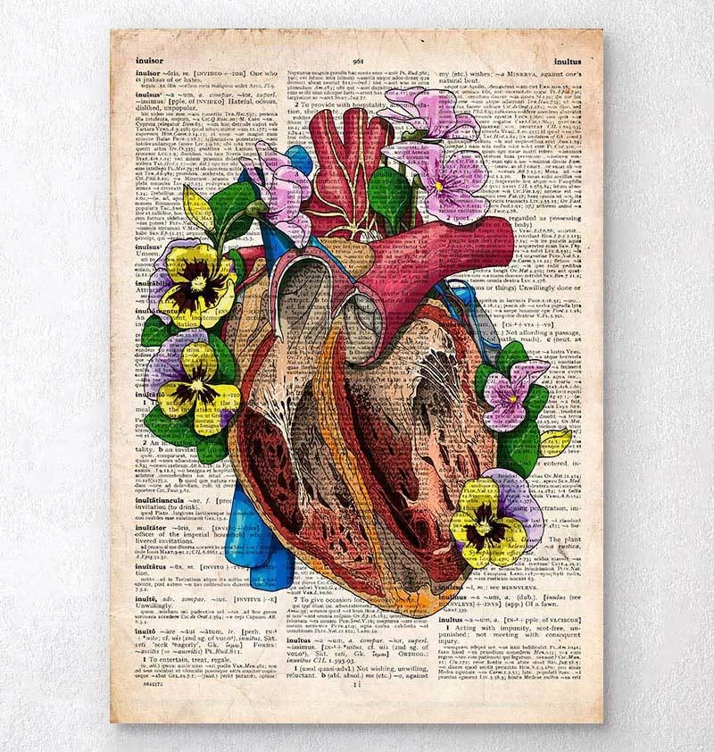 Floral Heart Anatomy II - Old Dictionary Page 3 Floral Heart Anatomy II - Old Dictionary Page