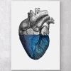 Colorful Heart - Blue 2 Colorful Heart - Blue -Codex Anatomicus Shop LPA062