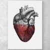 Colorful Heart - Red -Codex Anatomicus Shop LPA063 0f9f0c2e cd55 43ce b504 9c8770ae0678