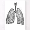 Minimal Geometric Lungs -Codex Anatomicus Shop LPA066