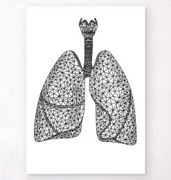 Minimal Geometric Lungs