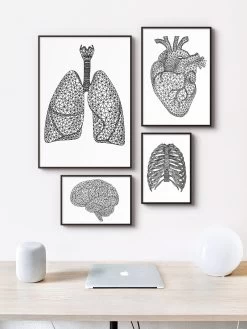 Minimal Geometric Lungs -Codex Anatomicus Shop LPA066 3