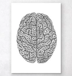 Minimal Geometric Brain