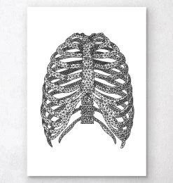 Minimal Geometric Rib Cage
